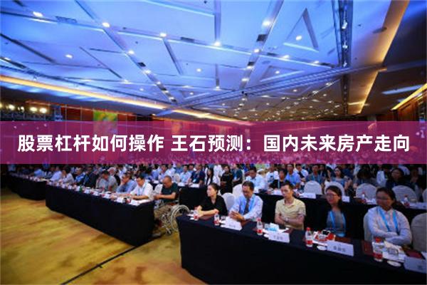 股票杠杆如何操作 王石预测：国内未来房产走向