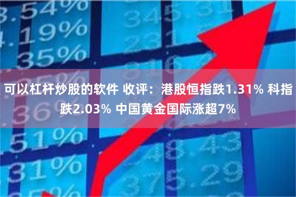 可以杠杆炒股的软件 收评：港股恒指跌1.31% 科指跌2.03% 中国黄金国际涨超7%