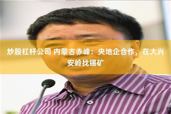 炒股杠杆公司 内蒙古赤峰：央地企合作，在大兴安岭找锡矿