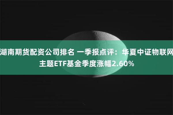 湖南期货配资公司排名 一季报点评：华夏中证物联网主题ETF基金季度涨幅2.60%