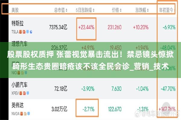 股票股权质押 张蕾视觉暴击流出！禁忌镜头惊掀畸形生态贵圈暗疮该不该全民会诊_营销_技术