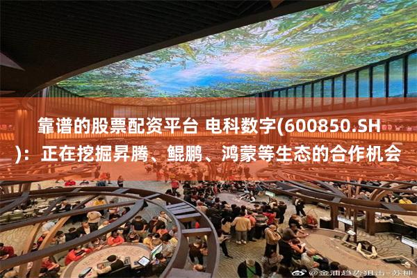 靠谱的股票配资平台 电科数字(600850.SH)：正在挖掘昇腾、鲲鹏、鸿蒙等生态的合作机会