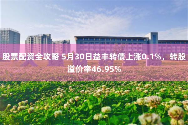 股票配资全攻略 5月30日益丰转债上涨0.1%，转股溢价率46.95%