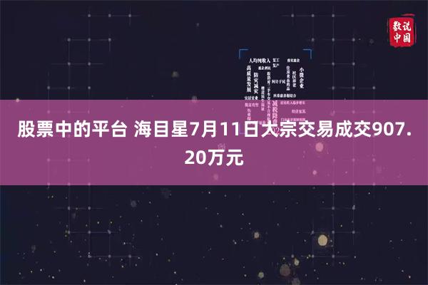 股票中的平台 海目星7月11日大宗交易成交907.20万元