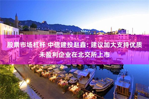 股票市场杠杆 中信建投赵鑫: 建议加大支持优质未盈利企业在北交所上市
