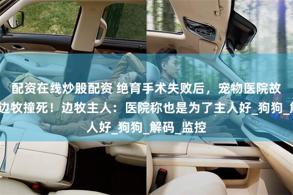 配资在线炒股配资 绝育手术失败后，宠物医院故意开车将边牧撞死！边牧主人：医院称也是为了主人好_狗狗_解码_监控