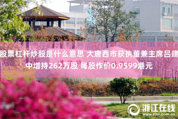 股票杠杆炒股是什么意思 大唐西市获执董兼主席吕建中增持262万股 每股作价0.9599港元