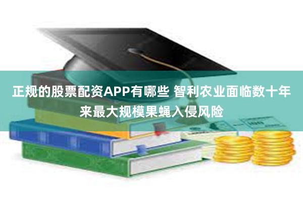正规的股票配资APP有哪些 智利农业面临数十年来最大规模果蝇入侵风险