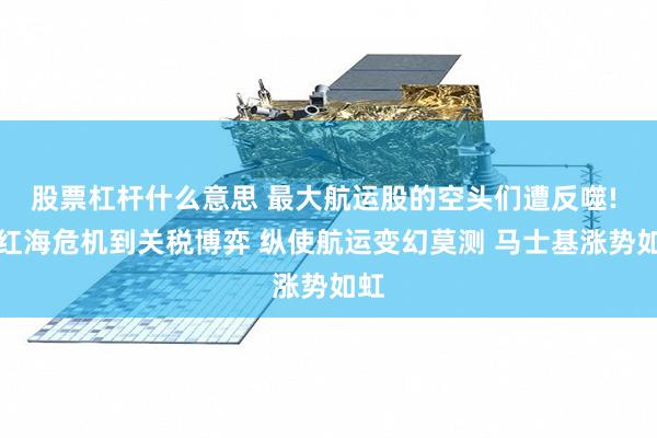 股票杠杆什么意思 最大航运股的空头们遭反噬! 从红海危机到关税博弈 纵使航运变幻莫测 马士基涨势如虹