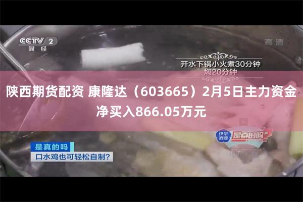 陕西期货配资 康隆达（603665）2月5日主力资金净买入866.05万元