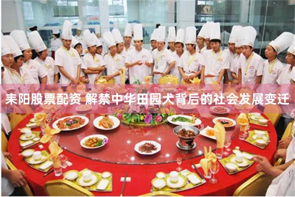 耒阳股票配资 解禁中华田园犬背后的社会发展变迁