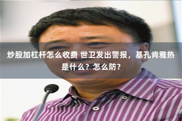 炒股加杠杆怎么收费 世卫发出警报，基孔肯雅热是什么？怎么防？