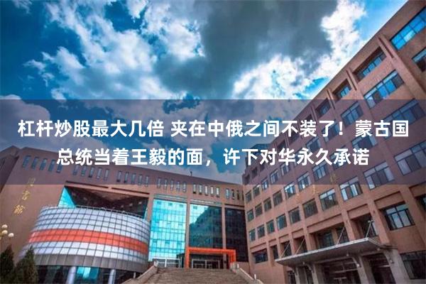杠杆炒股最大几倍 夹在中俄之间不装了！蒙古国总统当着王毅的面，许下对华永久承诺