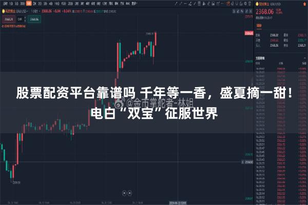 股票配资平台靠谱吗 千年等一香，盛夏摘一甜！电白“双宝”征服世界