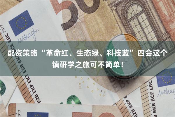 配资策略 “革命红、生态绿、科技蓝” 四会这个镇研学之旅可不简单!