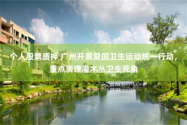 个人股票质押 广州开展爱国卫生运动统一行动，重点清理灌木丛卫生死角