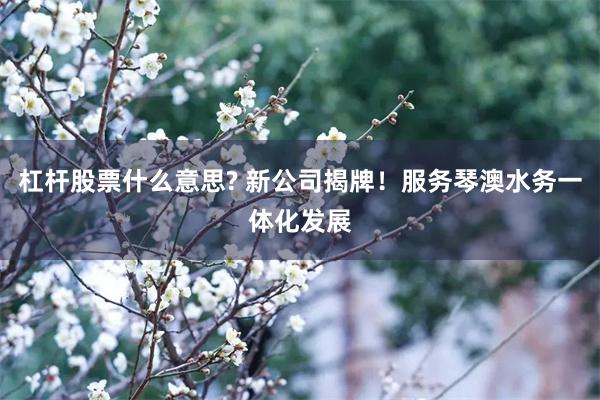 杠杆股票什么意思? 新公司揭牌！服务琴澳水务一体化发展