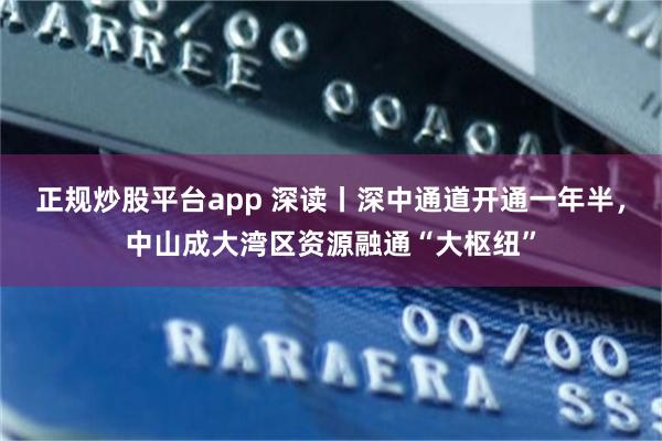 正规炒股平台app 深读丨深中通道开通一年半，中山成大湾区资源融通“大枢纽”