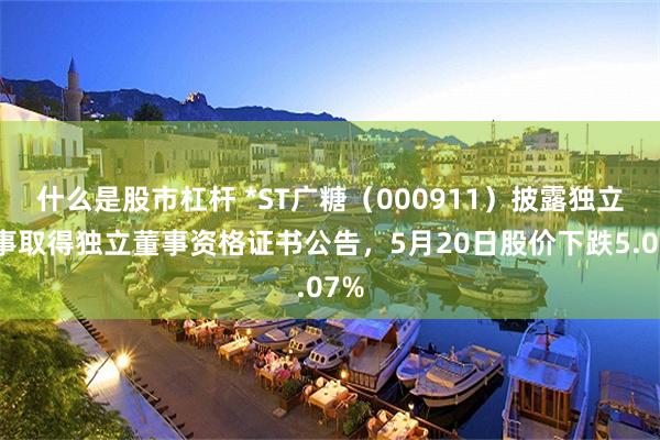 什么是股市杠杆 *ST广糖（000911）披露独立董事取得独立董事资格证书公告，5月20日股价下跌5.07%