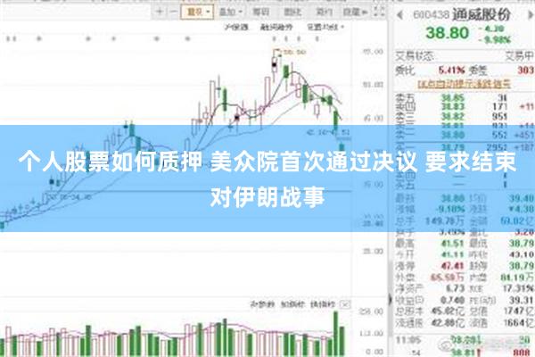 个人股票如何质押 美众院首次通过决议 要求结束对伊朗战事