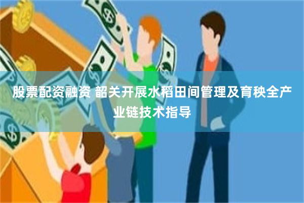 股票配资融资 韶关开展水稻田间管理及育秧全产业链技术指导