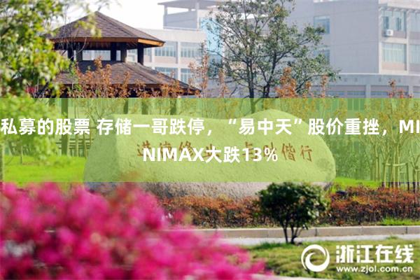 私募的股票 存储一哥跌停,“易中天”股价重挫,MINIMAX大跌13%