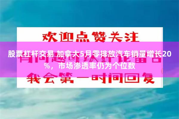 股票杠杆交易 加拿大5月零排放汽车销量增长20%，市场渗透率仍为个位数