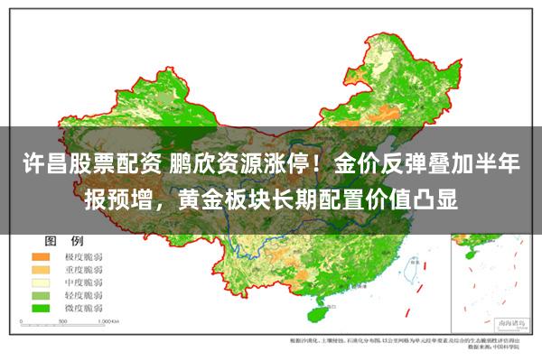 许昌股票配资 鹏欣资源涨停！金价反弹叠加半年报预增，黄金板块长期配置价值凸显