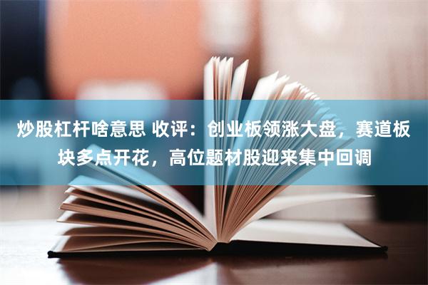 炒股杠杆啥意思 收评：创业板领涨大盘，赛道板块多点开花，高位题材股迎来集中回调