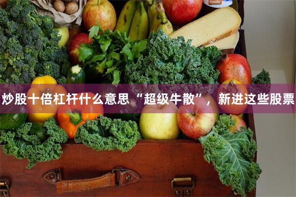 炒股十倍杠杆什么意思 “超级牛散”，新进这些股票
