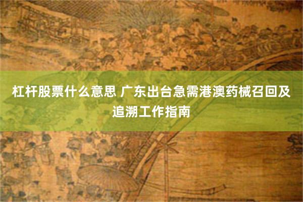 杠杆股票什么意思 广东出台急需港澳药械召回及追溯工作指南