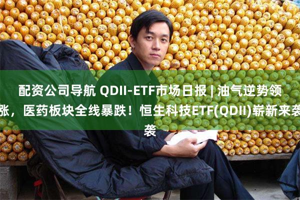 配资公司导航 QDII-ETF市场日报 | 油气逆势领涨，医药板块全线暴跌！恒生科技ETF(QDII)崭新来袭
