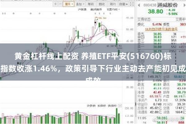 黄金杠杆线上配资 养殖ETF平安(516760)标的指数收涨1.46%，政策引导下行业主动去产能初见成效
