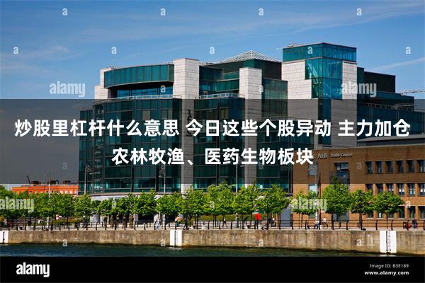 炒股里杠杆什么意思 今日这些个股异动 主力加仓农林牧渔、医药生物板块