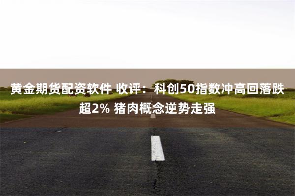 黄金期货配资软件 收评：科创50指数冲高回落跌超2% 猪肉概念逆势走强
