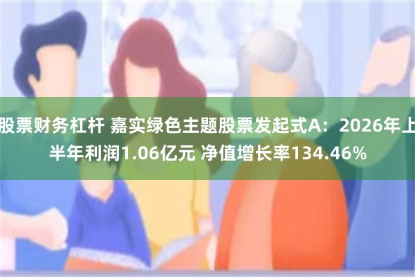 股票财务杠杆 嘉实绿色主题股票发起式A：2026年上半年利润1.06亿元 净值增长率134.46%