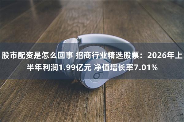 股市配资是怎么回事 招商行业精选股票:2026年上半年利润1.99亿元 净值增长率7.01%