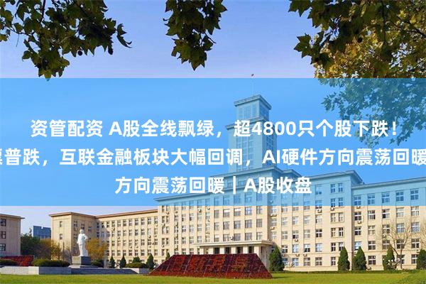 资管配资 A股全线飘绿，超4800只个股下跌！贵金属股票普跌，互联金融板块大幅回调，AI硬件方向震荡回暖｜A股收盘