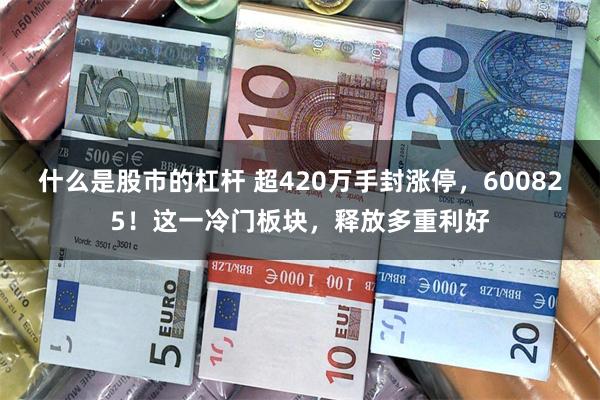 什么是股市的杠杆 超420万手封涨停，600825！这一冷门板块，释放多重利好
