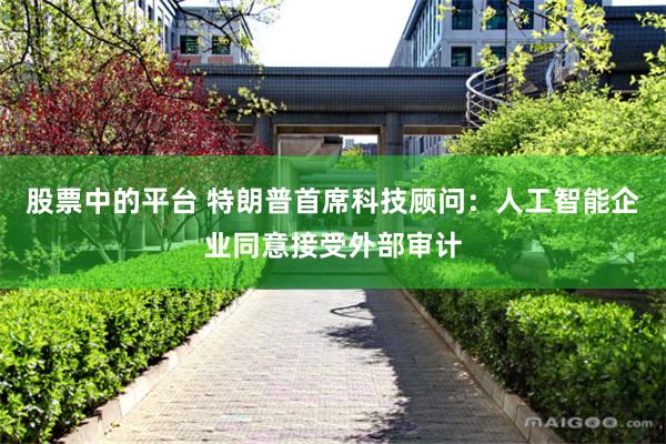 股票中的平台 特朗普首席科技顾问：人工智能企业同意接受外部审计