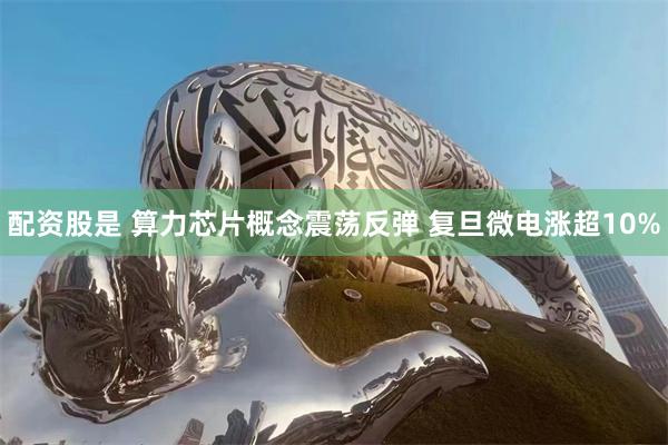 配资股是 算力芯片概念震荡反弹 复旦微电涨超10%