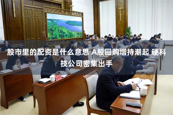 股市里的配资是什么意思 A股回购增持潮起 硬科技公司密集出手