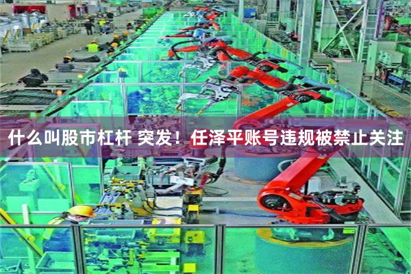 什么叫股市杠杆 突发！任泽平账号违规被禁止关注